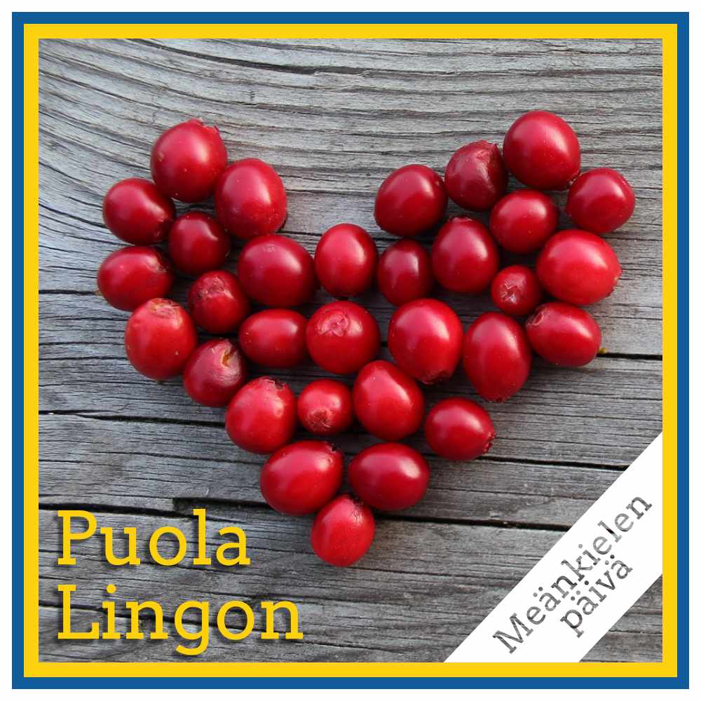 Puola - Lingon
